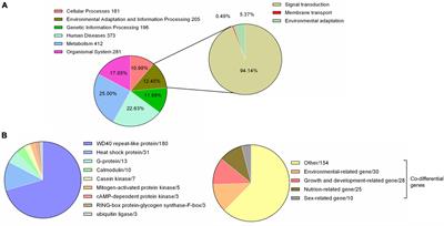 The Molecular Mechanism of Yellow Mushroom (Floccularia luteovirens) Response to Strong Ultraviolet Radiation on the Qinghai-Tibet Plateau